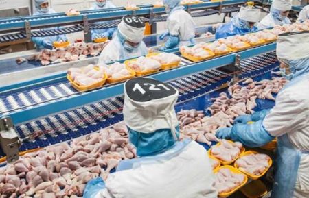 Workers Were Numbered At A Meat Processing Plant In Tatarstan To Work Better