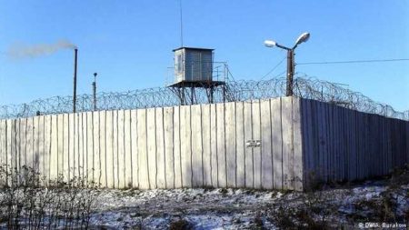 Over 30 Prisoners In A Russian Colony Went On A Hunger Strike