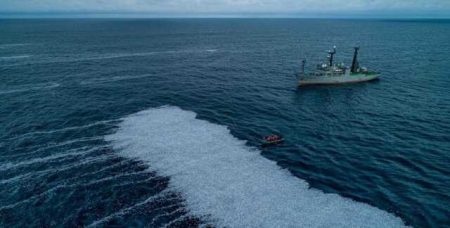 Fishing Boat Throws Up 100,000 Dead Fish Off French Coast