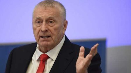 The Ldpr Spoke About The Imminent Return Of Zhirinovsky To Work