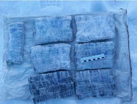 1.5 Thousand Bundles Of Drugs Found In The Forest Near Krasnoyarsk