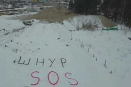 In St. Petersburg, An Appeal To Shnurov In A Snow Dump Was Destroyed In One Hour