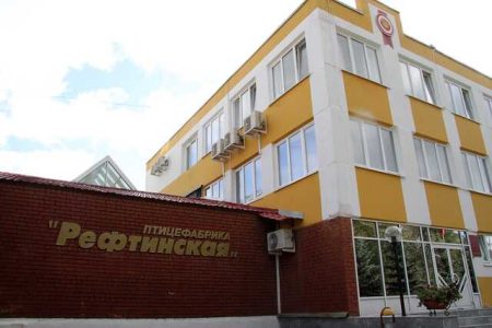 Chicken Legs In Exchange For The Governorship: How Is The Reftinskaya Poultry Farm Connected To Governor Kuyvashev