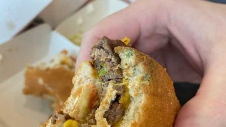 In Moscow, Mold Was Found In The Burgers Of The Restaurant “Vkusno – And That’s The Point”