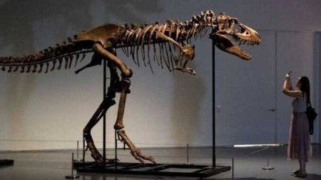 Unique Skeleton Of Tyrannosaurus Rex Relative Auctioned Off In Us – Bbc