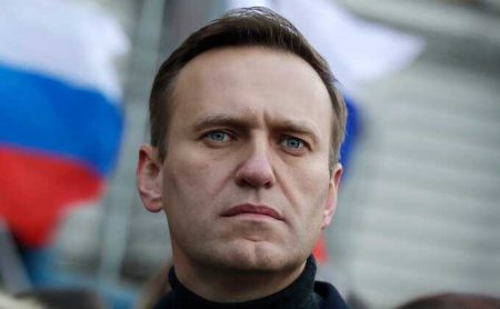 Navalny Was Placed In The Pkt For A Maximum Period Of Six Months