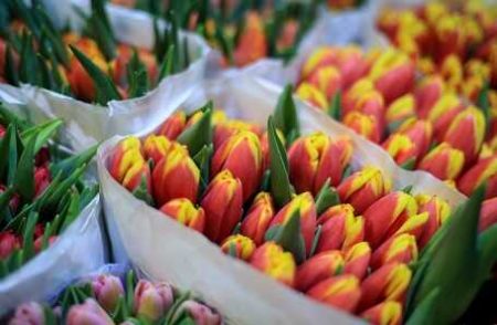 Flower Sellers Staged A Massacre In The Market In Moscow, And Buyers Took Out Microloans